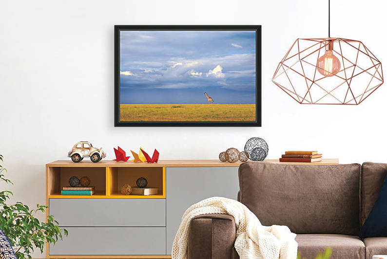 Colors of freedom by 1x