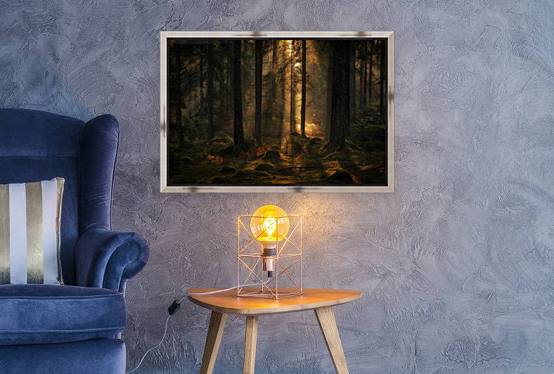 The light in the forest by 1x