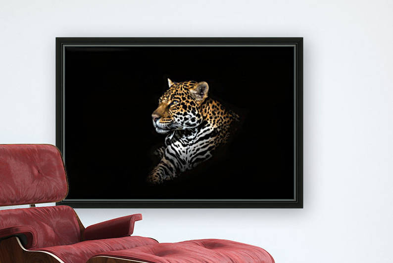 Jaguar Portrait by 1x