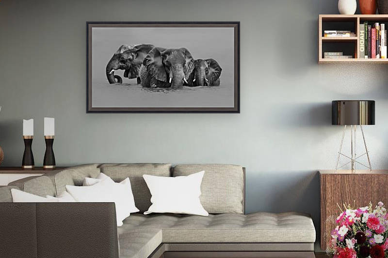 Elephant Crossing The River by 1x