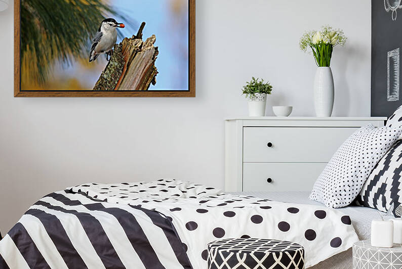 Nutty Nuthatch by Deb Oppermann