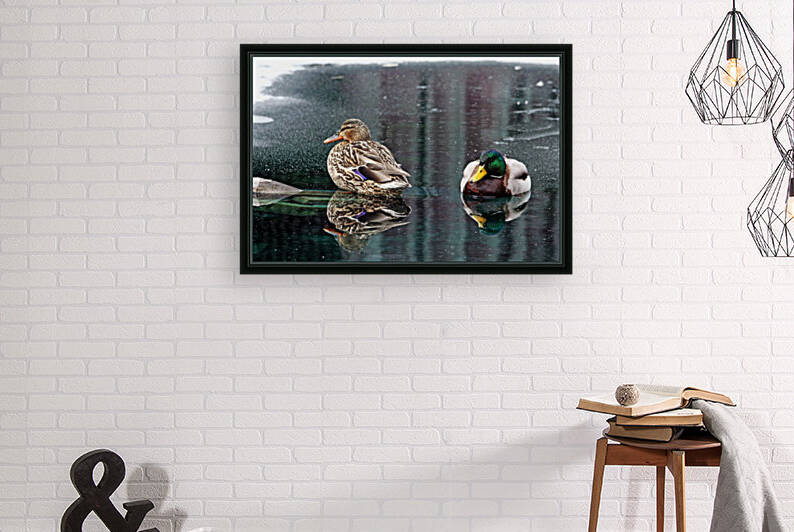 Mr And Mrs Mallard by Deb Oppermann