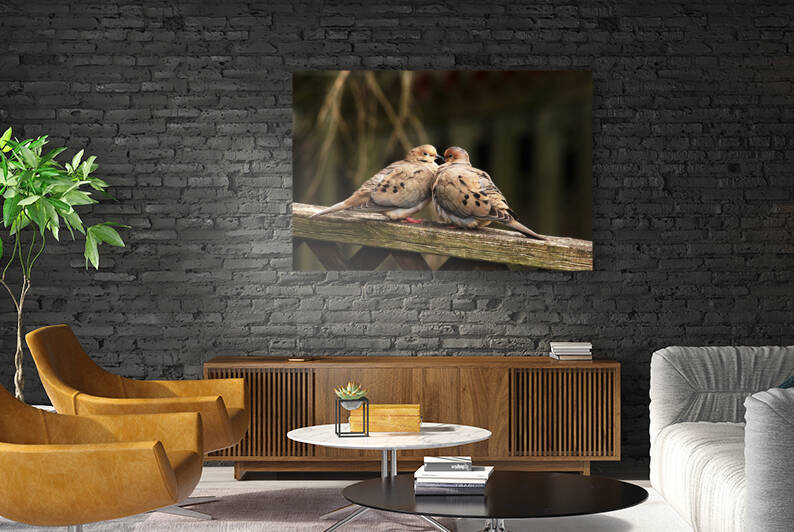 Beak To Beak by Deb Oppermann