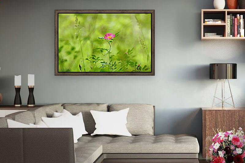 Splashes Of Pink In Field Of Green by Deb Oppermann