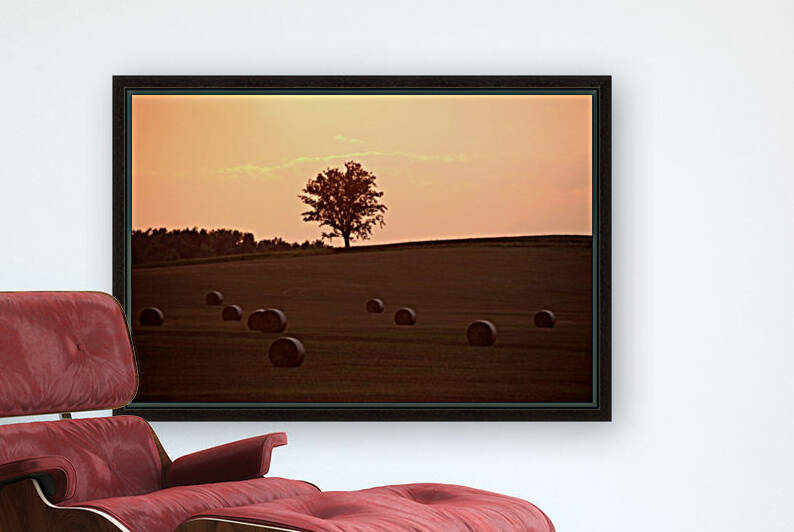 Sentinel On The Hill by Deb Oppermann