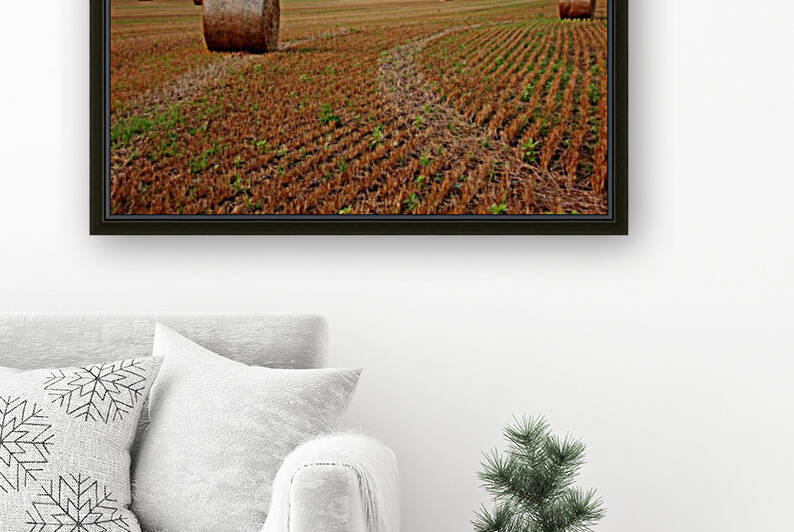 Make Hay by Deb Oppermann