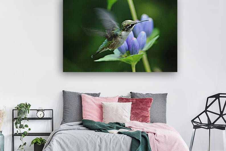 Hummingbird And Gentian Blue by Deb Oppermann