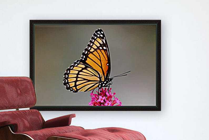 Viceroy Simple Elegance by Deb Oppermann