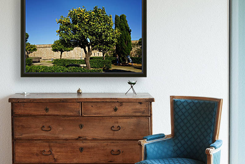 Montjuïc Orange Tree by Xisa