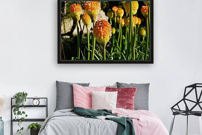 Montjuïc Flowers by Xisa