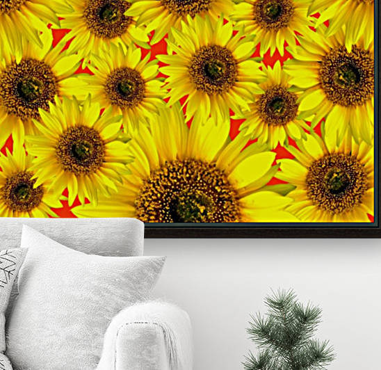 Beautiful colourful flower blossom flower background design floral home decor decoration sunflower sunflowers by fabartdesigns