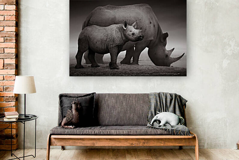 Black Rhinoceros calf by Johan Swanepoel