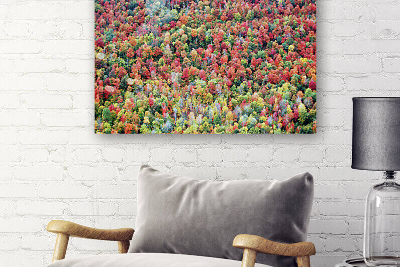 Saint-Bruno by Fabien Dormoy