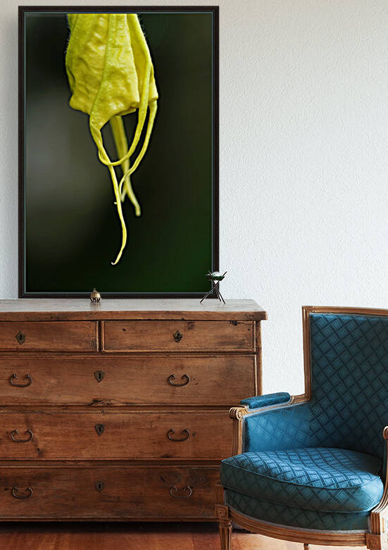 Trumpet Points by Deb Oppermann