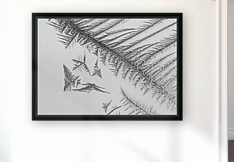 Window Frost by Deb Oppermann