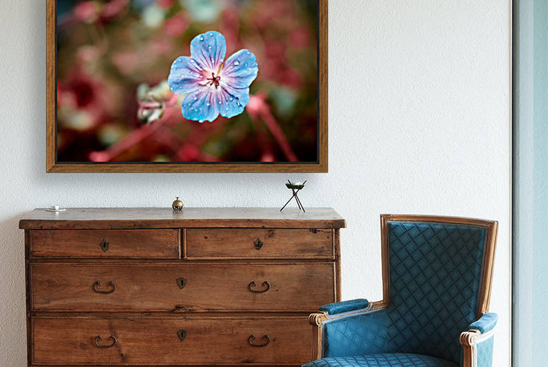 Au matin by Ian Gagné