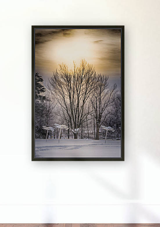 Parc Woodyatt, Drummondville 2 by Ian Gagné