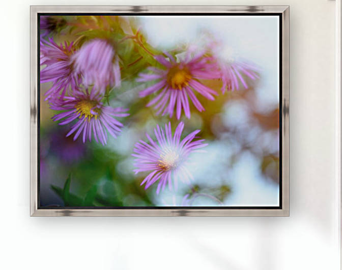 Fleur et ciel by Ian Gagné