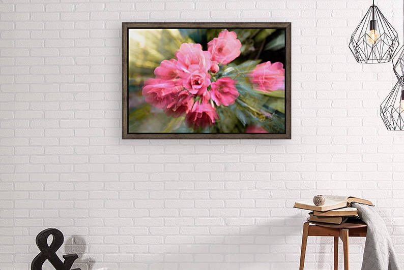 Rosier by Ian Gagné