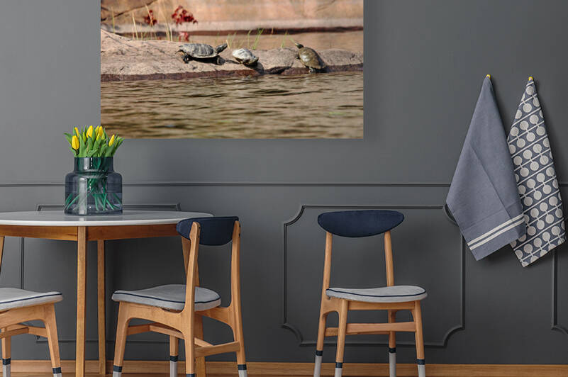 Maps On The Rock by Deb Oppermann