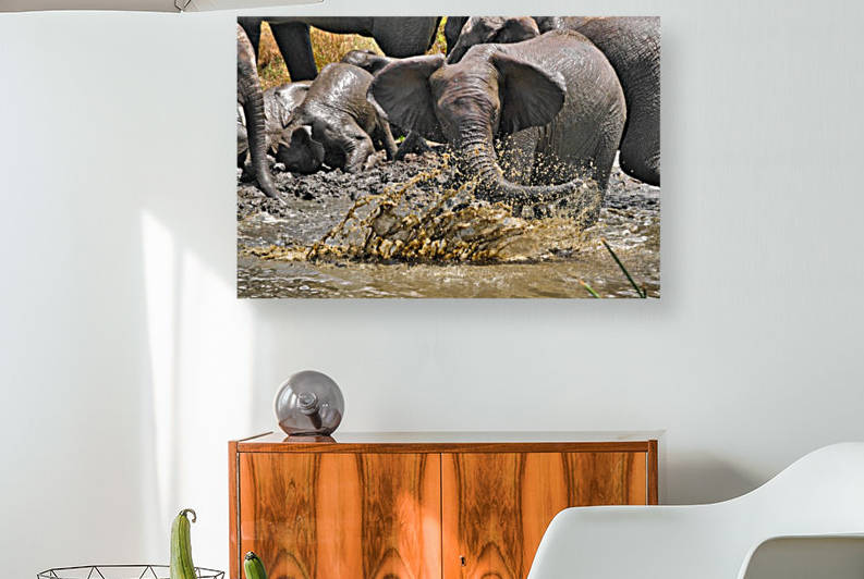 Swim break by Cullen Kamisugi