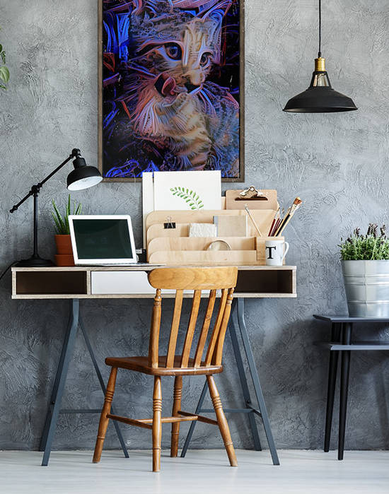 Kitten by Bruce Rolff