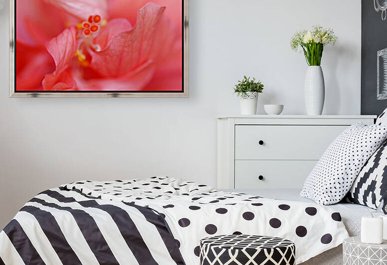 Double Peach Hibisicus by Deb Oppermann