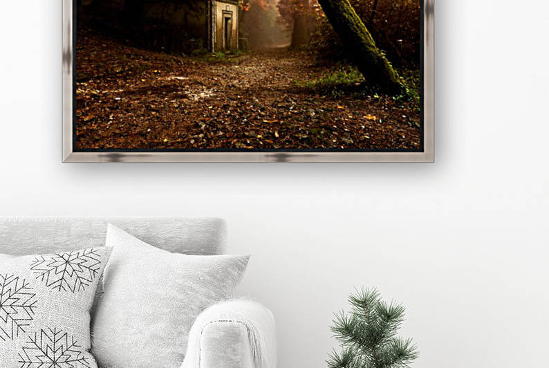 The enchanted trail by Jorge Maia