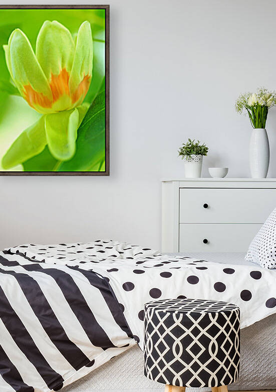 Tulip Poplar Flower by Deb Oppermann