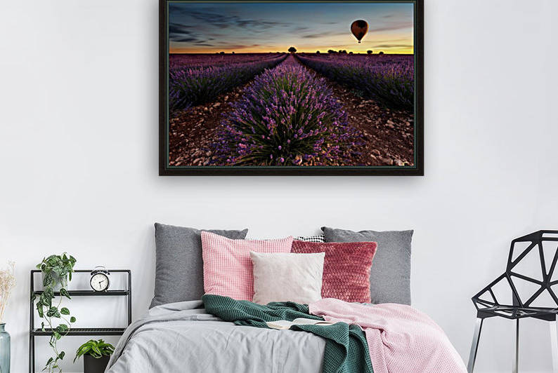 Fly away by Jorge Maia