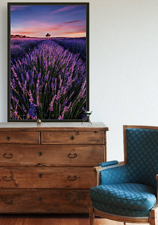 Into the dream by Jorge Maia