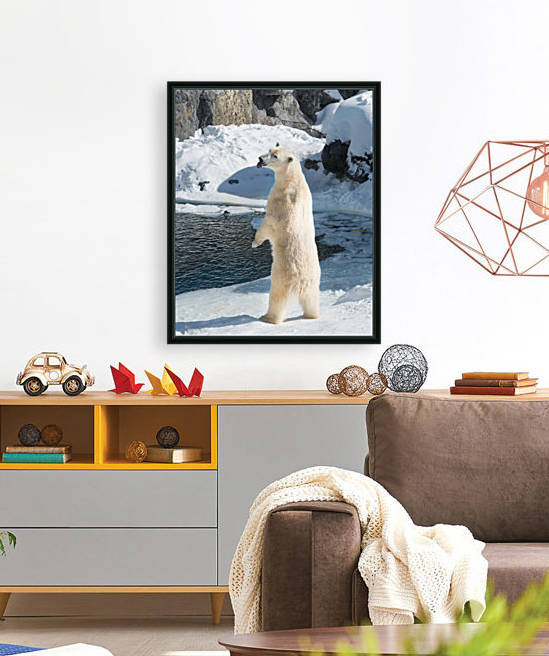 Ours Polaire by sebastien picard