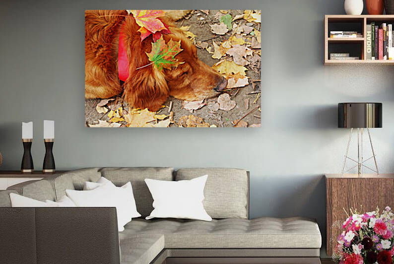 Autumn Snooze by Deb Oppermann