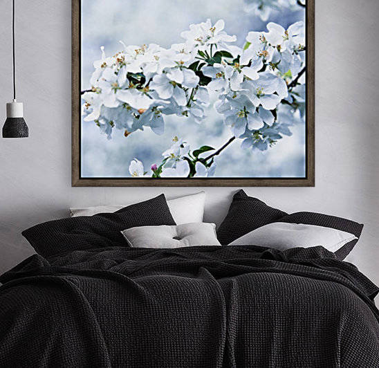 Cherry tree flowers by Alexandra Draghici