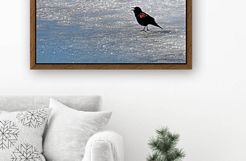 The Power Within by Deb Oppermann