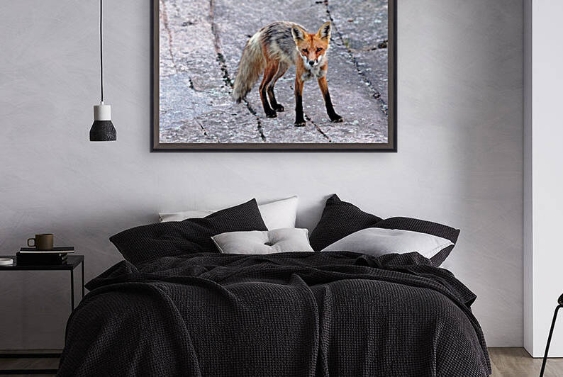 Multi Colored Red Fox by Deb Oppermann