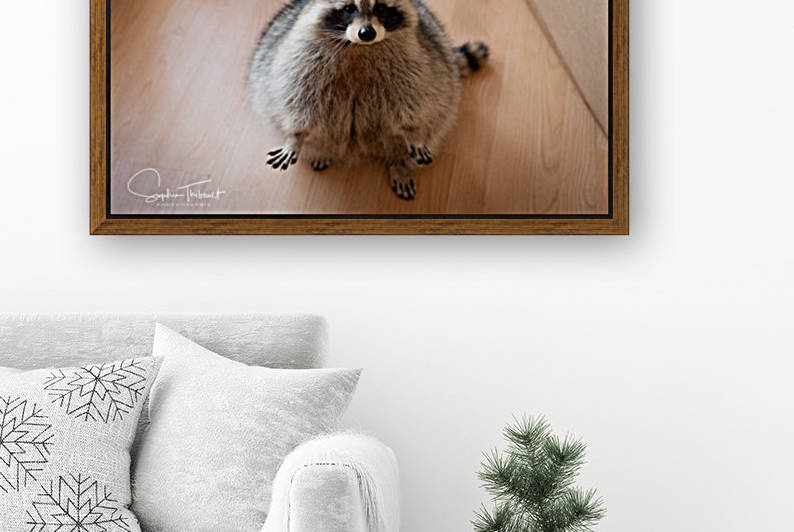 Raton curieux by Sanctuaire Nymous