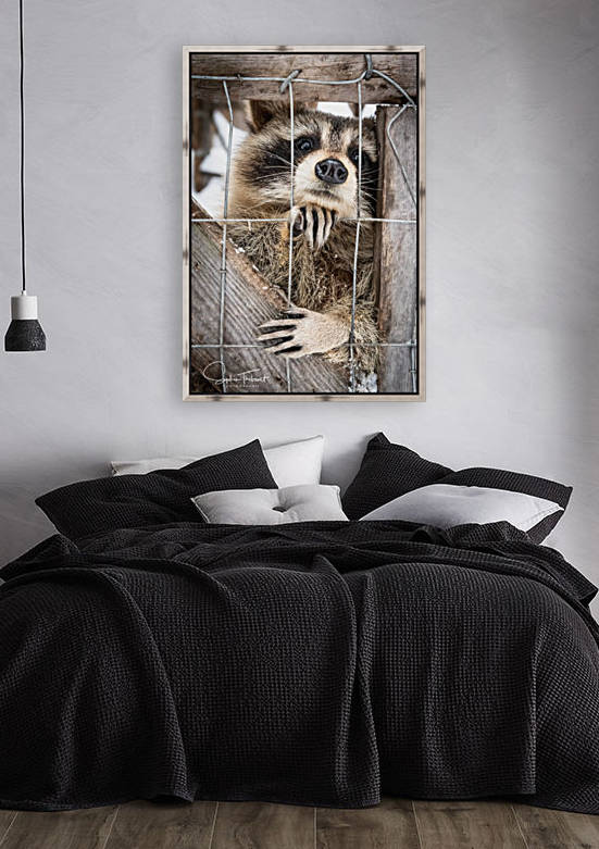 Raton saccroche by Sanctuaire Nymous