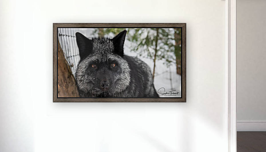 Kaya by Sanctuaire Nymous