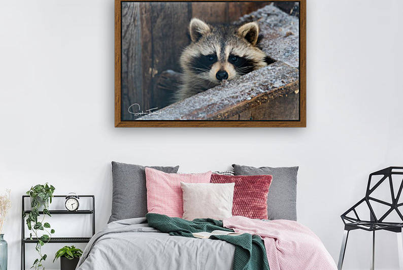 Raton tite face by Sanctuaire Nymous