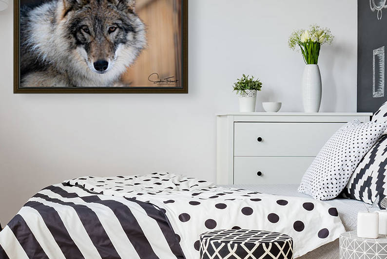 Chenoa de près by Sanctuaire Nymous