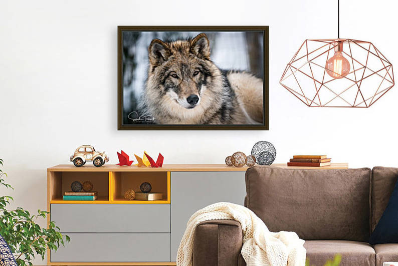 Chenoa  trop belle by Sanctuaire Nymous