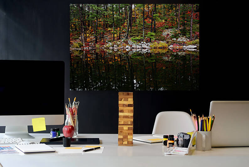 Color My World by Deb Oppermann