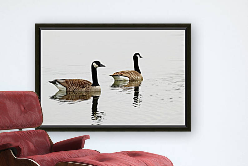 Classy Canada Geese by Deb Oppermann