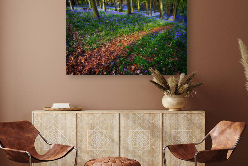 Bluebell Wood in Margam by Leighton Collins