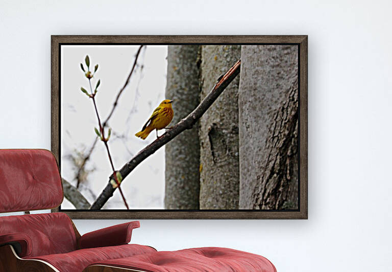 Step Lively by Deb Oppermann