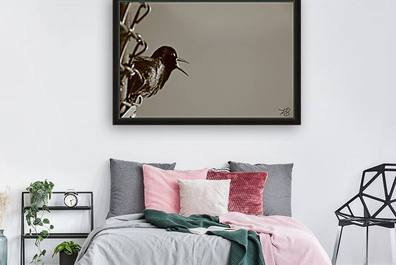 Black Bird  by IsabelVictoria