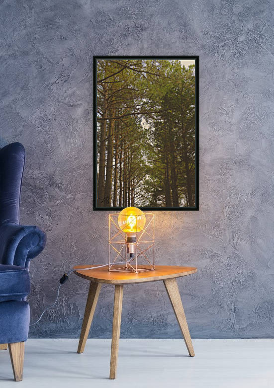 Forest Files by IsabelVictoria