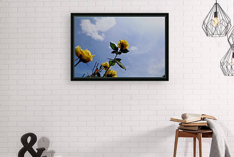 High Above  by IsabelVictoria