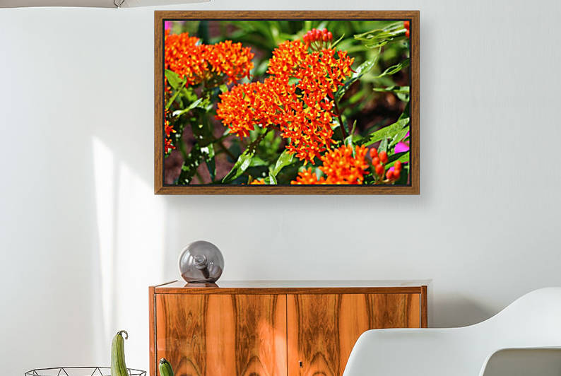 Bright Orange  by IsabelVictoria